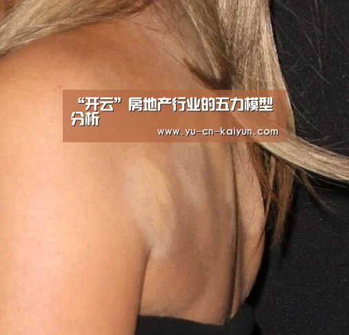 “开云”房地产行业的五力模型分析