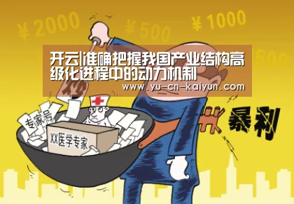 开云|准确把握我国产业结构高级化进程中的动力机制
